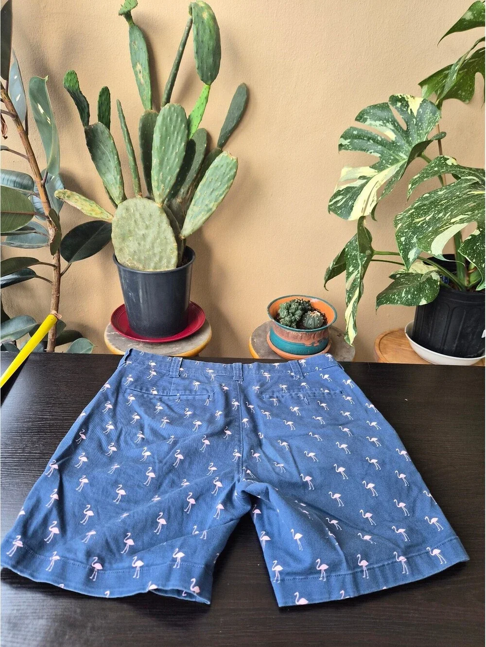 J.Crew Men’s 7” Inseam Flamingo Print Chino Shorts Blue Pink Size 31